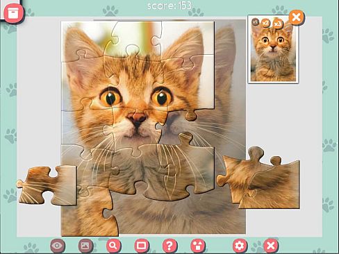 1001 Jigsaw. Cute Cats