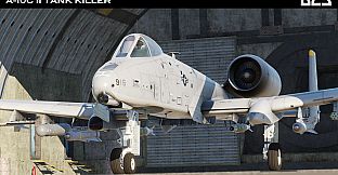 DCS: A-10C II Tank Killer