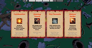 Whirlwind Survivor