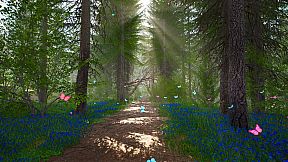 Great North Shelter 2