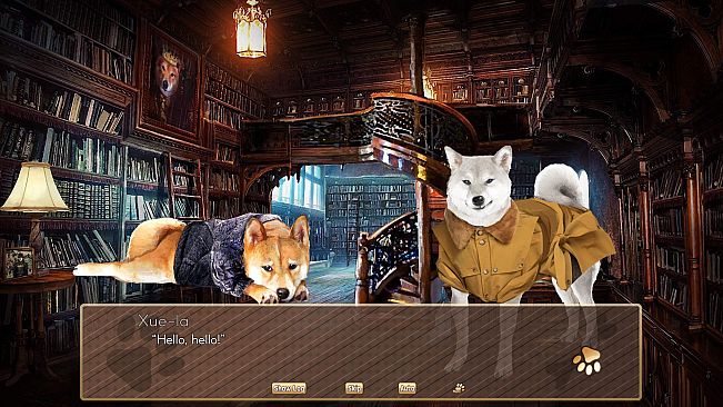 A Summer with the Shiba Inu