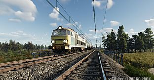 SimRail - The Railway Simulator: Cargo Pack