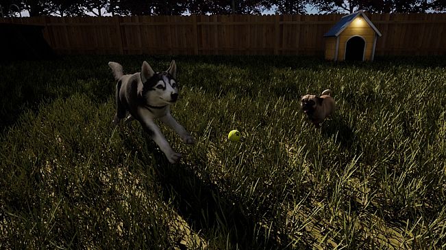 The Good Dog: Chasing Shadows