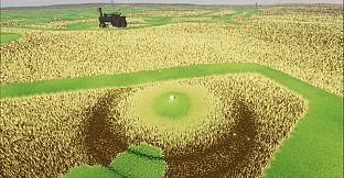 The Lonely Meadow