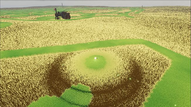 The Lonely Meadow