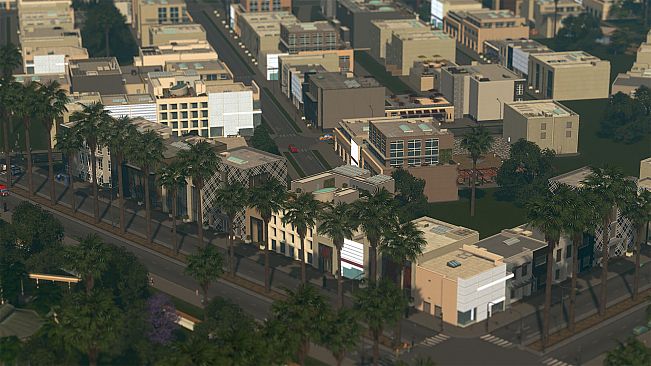 Cities: Skylines - CCP: Shopping Malls