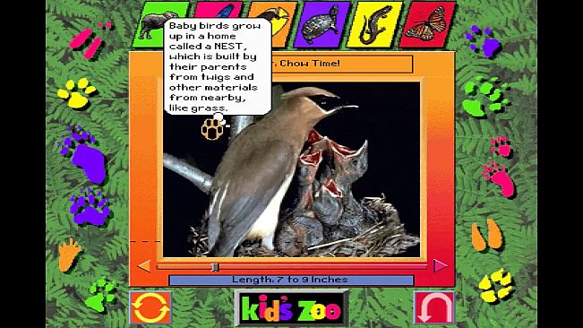 Kid's Zoo: A Baby Animal Adventure