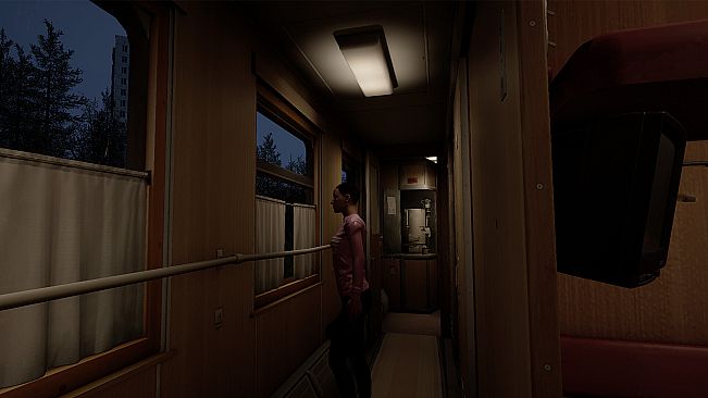 Russian Train Trip 3 - people in a train car