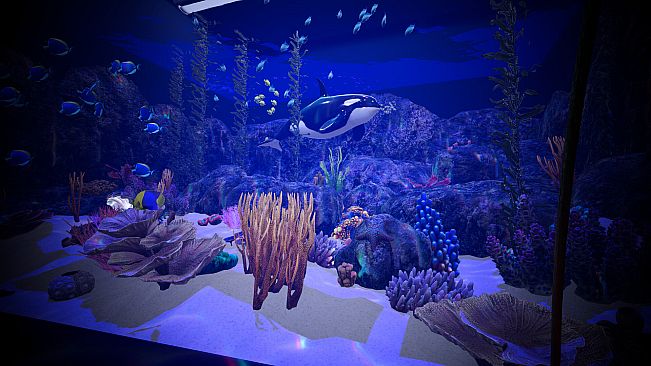 Aquarium Anomaly