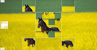 Puzzle Art: Horses