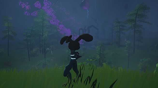 CottonTail