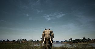 Animalia Survival EggHunt