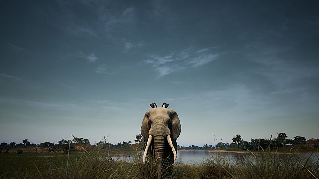 Animalia Survival EggHunt