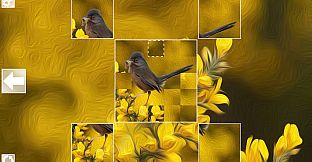 Puzzle Art: Birds