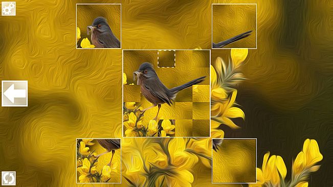 Puzzle Art: Birds