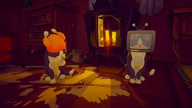 Pawbay: Cozy Strays
