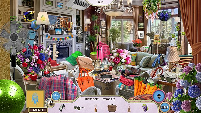 Sweet Home: Look and Find Collector's Edition