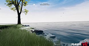 Playne VR