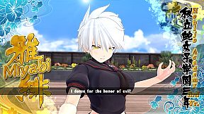 SENRAN KAGURA ESTIVAL VERSUS