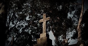 The Zombie Neighborhood