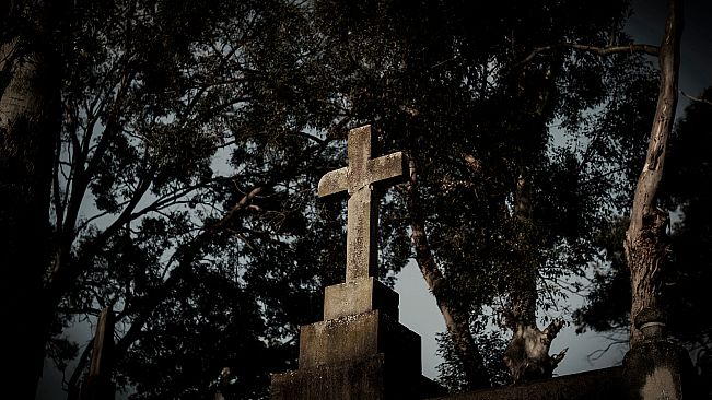 The Zombie Neighborhood