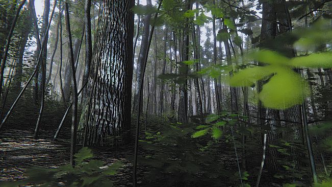 Mindfulness Simulator - ASMR Meditation Game