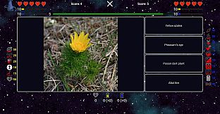 I've Seen Everything - Flowers