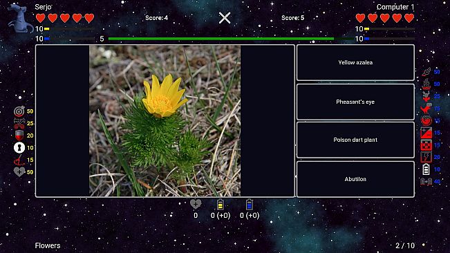 I've Seen Everything - Flowers