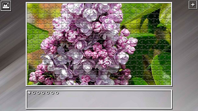 Super Jigsaw Puzzle: Generations - Flowers 2