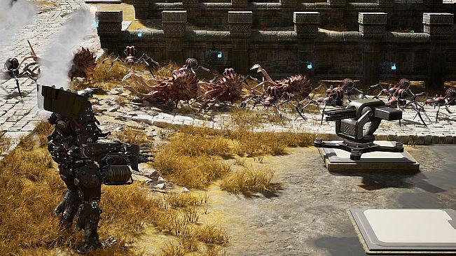 Try to survive Today