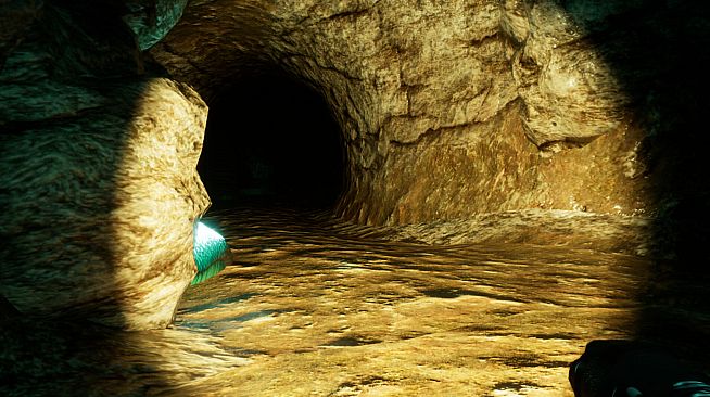 The Mines