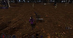 Trials Of The Void
