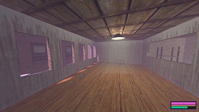 Vignettes: The Dream City