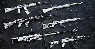 Insurgency: Sandstorm - Year 1 Pass