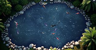 Koi Frenzy
