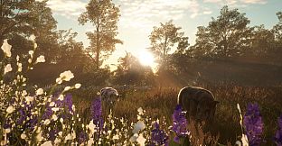 theHunter: Call of the Wild - Mississippi Acres Preserve
