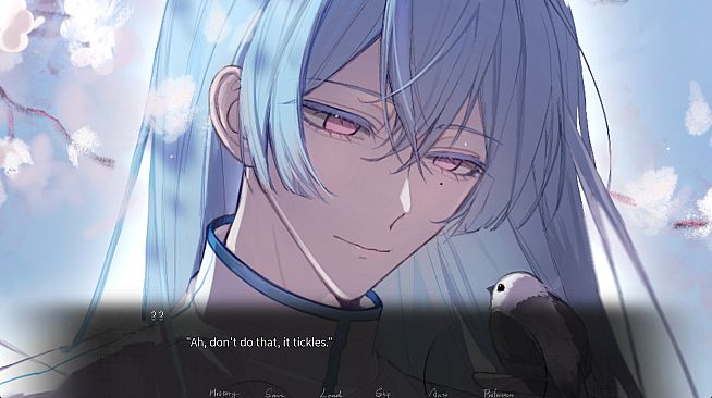 Empty Box: 空盒子