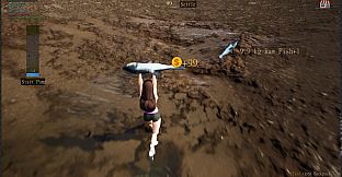 A Pond Hunt