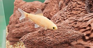 Fish Game - Indian Subcontinent Fish Pack 1