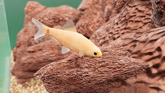 Fish Game - Indian Subcontinent Fish Pack 1