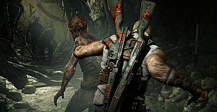 Zombie Army 4: Zombie Tank Weapon Skins