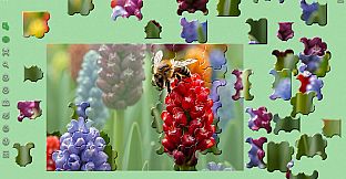 Master of Pieces Jigsaw Puzzle DLC - Edge of Spring