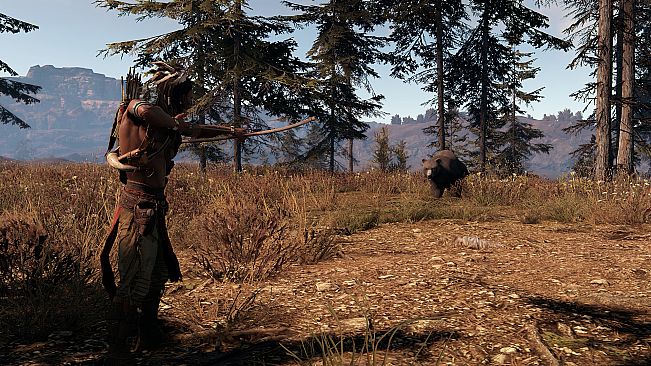 This Land Is My Land