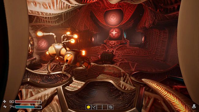 Dig Baby Dig Company