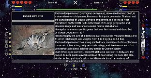 I've Seen Everything - More Animals