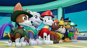 Paw Patrol Bundle