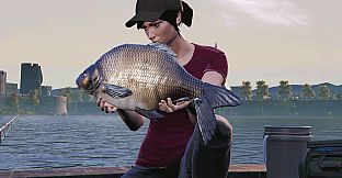 Euro Fishing: The Moat