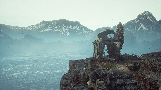 The Dead Tree of Ranchiuna