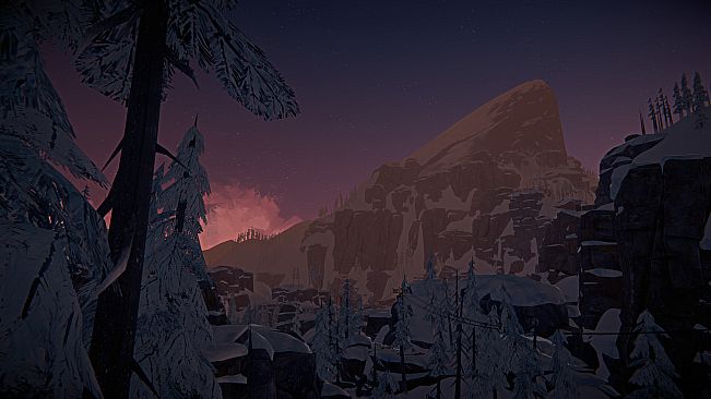The Long Dark