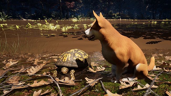 The Good Dog: Chasing Shadows